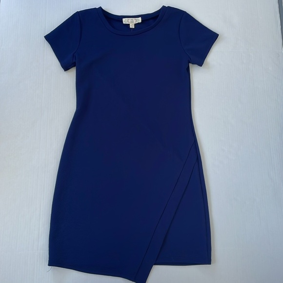 Pink Rose Blue Casual Sheath Dress Medium - Picture 1 of 12